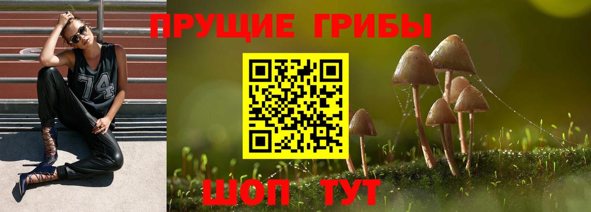 Псилоцибиновые грибы Magic Shrooms Рязань