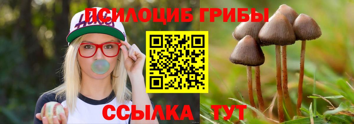 Рязань  Галлюциногенные грибы мицелий  купить наркотики цена  Вход с VPN 